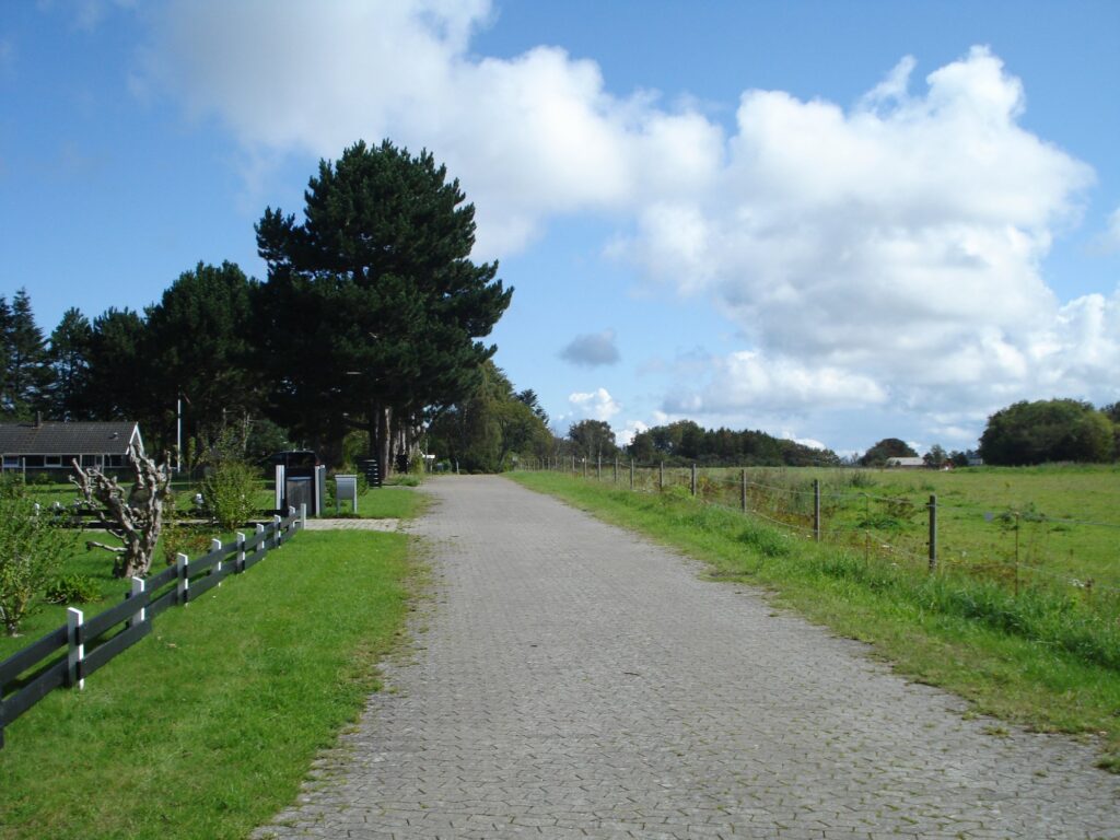 DSC01304